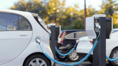 ¿Por qué Olinia? Nombre proveniente del Náhuatl, será el primer auto eléctrico 100% mexicano