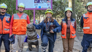 Con estatua rinden tributo a la perrita rescatista Nalah, salvó 17 vidas