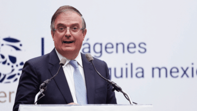 Ebrard T-MEC sobrevivirá; buscará minimizar aranceles
