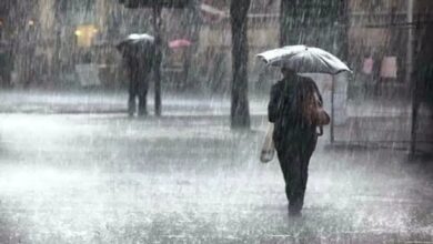 Clima hoy: un viernes lluvioso para estos estados, se esperan torbellinos (Foto de internet)