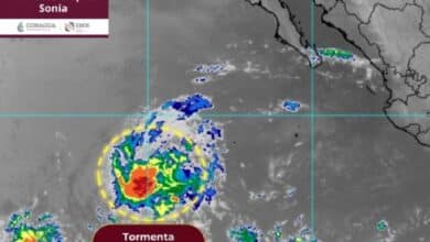 Actualización sobre la tormenta tropical Sonia, circulo en el Pacífico (Foto de internet)