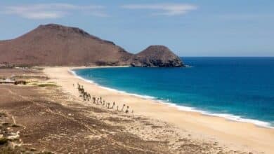Punta Lobos, surf y encanto natural en este recinto de BCS (Foto de internet)