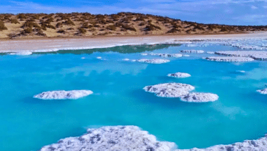 Los mejores lugares de Baja California Sur para visitar en otoño e invierno (foto: @alessandrost04)