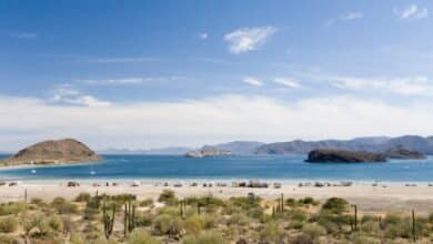 Playa Santispac: paraíso de camping y mar en BCS (Foto de internet)