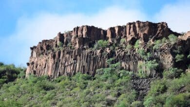 Ruta definitiva a los prismas basálticos de Comondú (Foto de internet)
