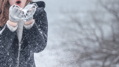 Los 4 lugares de Baja California Sur donde el invierno puede hacerte sentir en Alaska