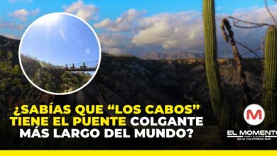 ¿Sabías que “Los Cabos” tiene el puente colgante más largo del mundo?