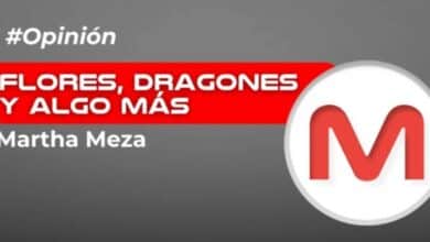 Flores, dragones y algo más