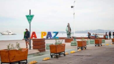 Retiran macetas del malecón de La Paz por orden estatal (Foto de internet)