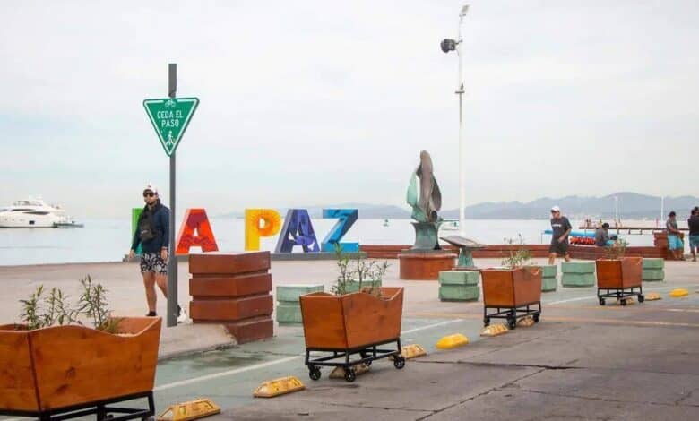 Retiran macetas del malecón de La Paz por orden estatal (Foto de internet)