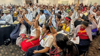 Consejo Nacional de Pueblos Indígenas propone que la Reforma Electoral garantice la representación política de los pueblos indígenas y afromexicanos