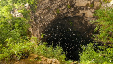 El Sótano de las Golondrinas, el abismo natural que asombra al mundo desde San Luis Potosí