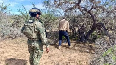 Hallan fosas clandestinas con osamentas humanas en Comondú (Foto de internet)