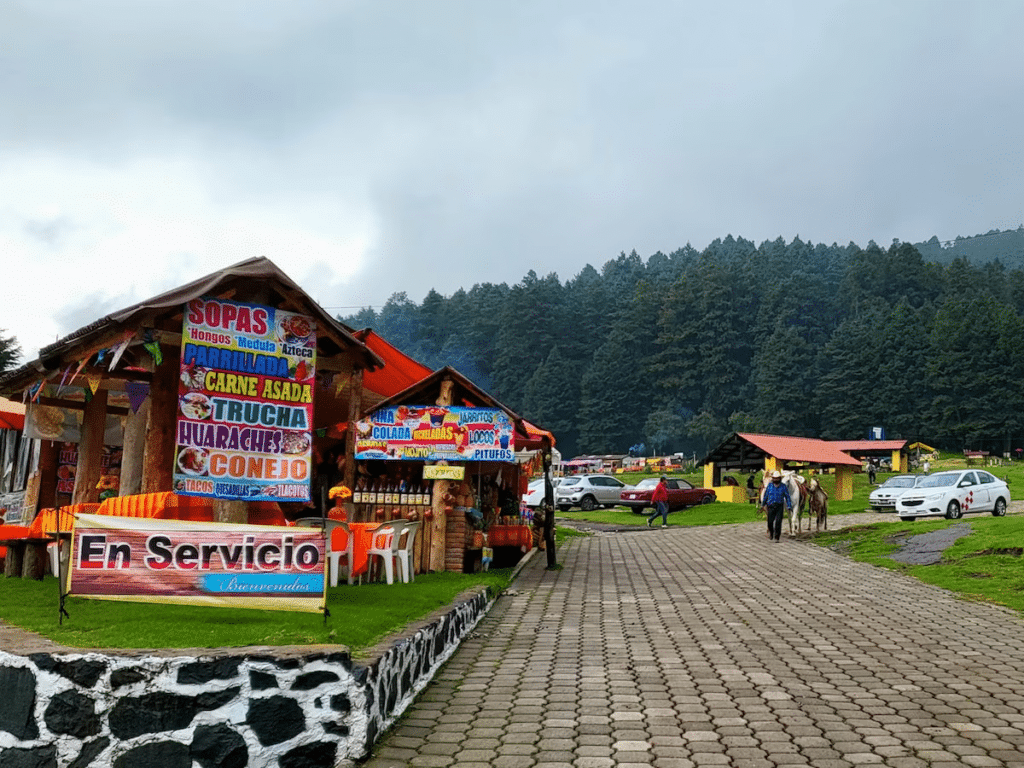 La Marquesa,Estado de México,Parque Nacional Insurgente Miguel Hidalgo,turismo en Edomex,escapada de fin de semana,naturaleza México,bosque en México,actividades al aire libre,gastronomía mexicana,destinos cerca de CDMX