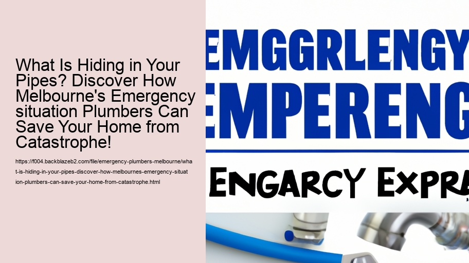 What Is Hiding in Your Pipes? Discover How Melbourne's Emergency situation Plumbers Can Save Your Home from Catastrophe!