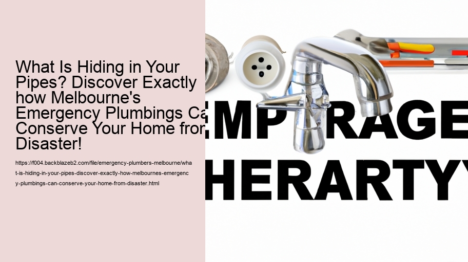 What Is Hiding in Your Pipes? Discover Exactly how Melbourne's Emergency Plumbings Can Conserve Your Home from Disaster!