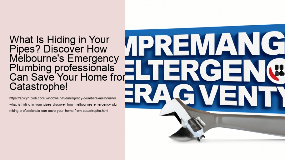 What Is Hiding in Your Pipes? Discover How Melbourne's Emergency Plumbing professionals Can Save Your Home from Catastrophe!