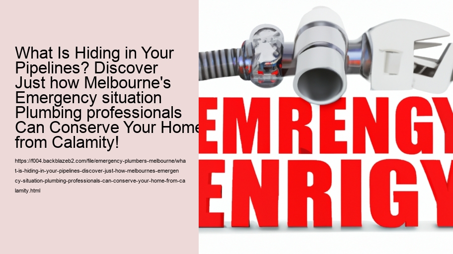 What Is Hiding in Your Pipelines? Discover Just how Melbourne's Emergency situation Plumbing professionals Can Conserve Your Home from Calamity!