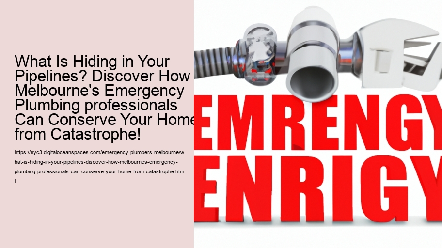 What Is Hiding in Your Pipelines? Discover How Melbourne's Emergency Plumbing professionals Can Conserve Your Home from Catastrophe!
