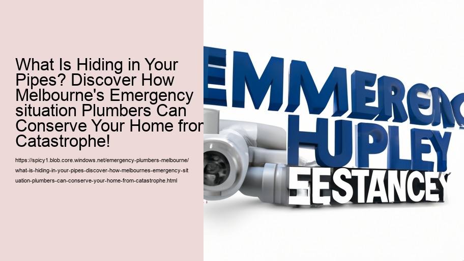 What Is Hiding in Your Pipes? Discover How Melbourne's Emergency situation Plumbers Can Conserve Your Home from Catastrophe!