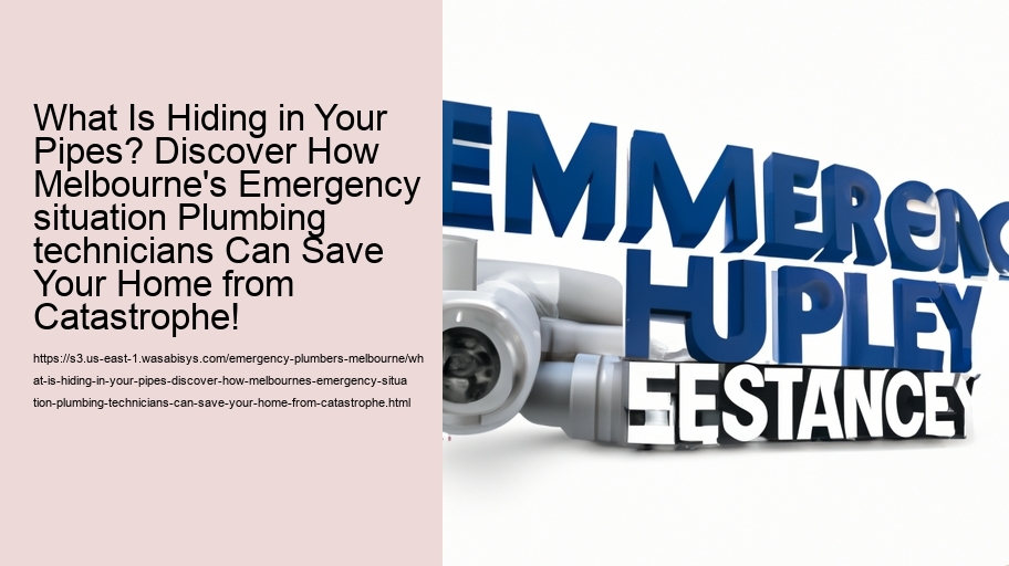 What Is Hiding in Your Pipes? Discover How Melbourne's Emergency situation Plumbing technicians Can Save Your Home from Catastrophe!