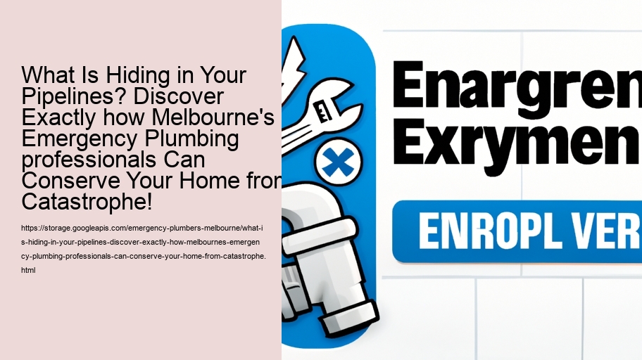 What Is Hiding in Your Pipelines? Discover Exactly how Melbourne's Emergency Plumbing professionals Can Conserve Your Home from Catastrophe!