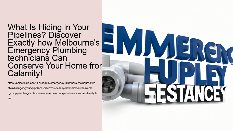 What Is Hiding in Your Pipelines? Discover Exactly how Melbourne's Emergency Plumbing technicians Can Conserve Your Home from Calamity!