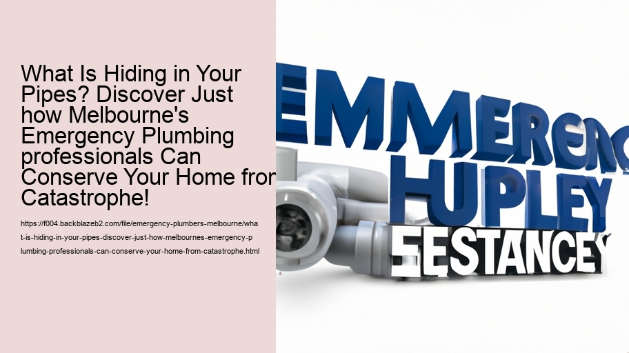 What Is Hiding in Your Pipes? Discover Just how Melbourne's Emergency Plumbing professionals Can Conserve Your Home from Catastrophe!
