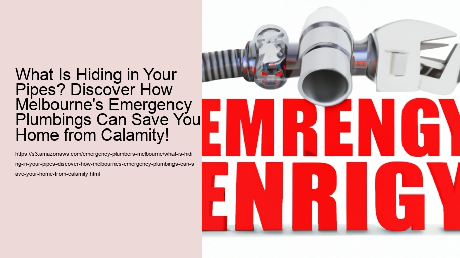 What Is Hiding in Your Pipes? Discover How Melbourne's Emergency Plumbings Can Save Your Home from Calamity!