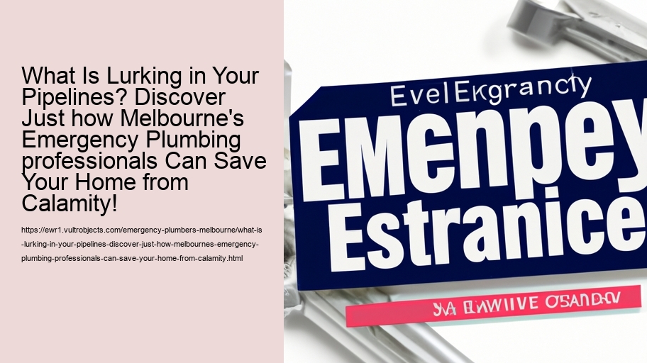 What Is Lurking in Your Pipelines? Discover Just how Melbourne's Emergency Plumbing professionals Can Save Your Home from Calamity!