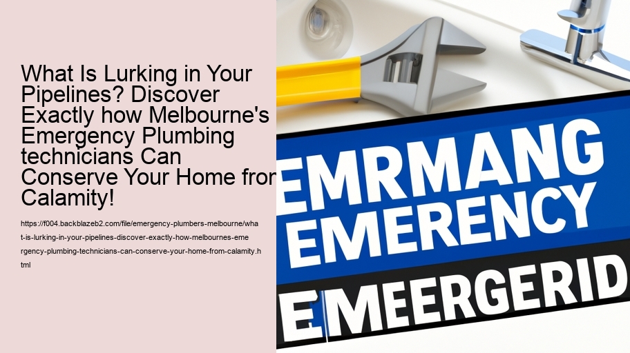 What Is Lurking in Your Pipelines? Discover Exactly how Melbourne's Emergency Plumbing technicians Can Conserve Your Home from Calamity!