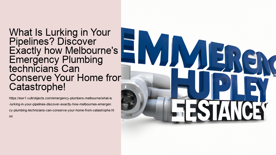 What Is Lurking in Your Pipelines? Discover Exactly how Melbourne's Emergency Plumbing technicians Can Conserve Your Home from Catastrophe!