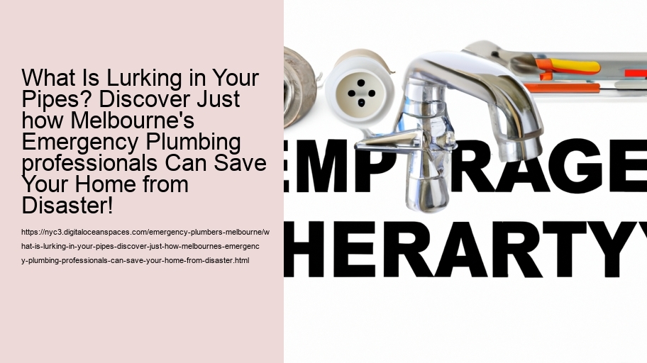 What Is Lurking in Your Pipes? Discover Just how Melbourne's Emergency Plumbing professionals Can Save Your Home from Disaster!
