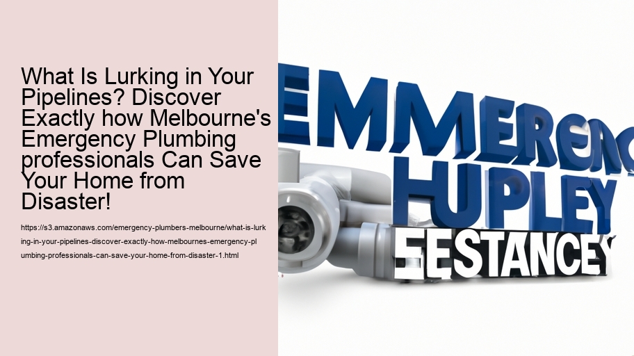 What Is Lurking in Your Pipelines? Discover Exactly how Melbourne's Emergency Plumbing professionals Can Save Your Home from Disaster!