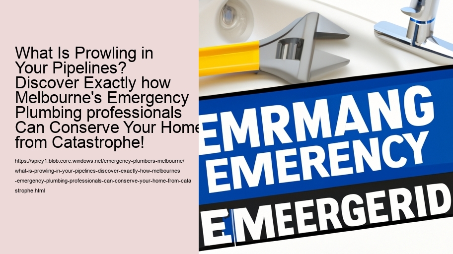 What Is Prowling in Your Pipelines? Discover Exactly how Melbourne's Emergency Plumbing professionals Can Conserve Your Home from Catastrophe!