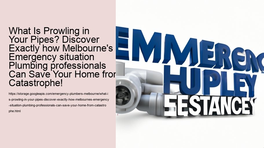 What Is Prowling in Your Pipes? Discover Exactly how Melbourne's Emergency situation Plumbing professionals Can Save Your Home from Catastrophe!