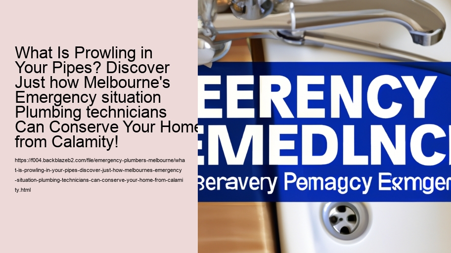 What Is Prowling in Your Pipes? Discover Just how Melbourne's Emergency situation Plumbing technicians Can Conserve Your Home from Calamity!