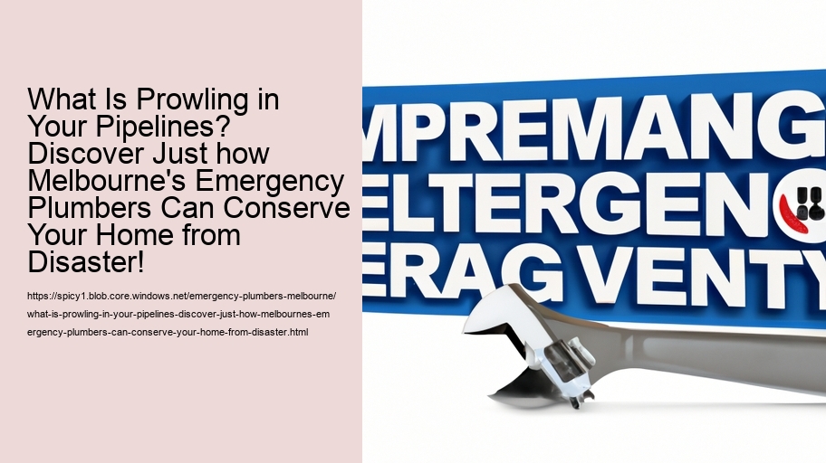 What Is Prowling in Your Pipelines? Discover Just how Melbourne's Emergency Plumbers Can Conserve Your Home from Disaster!