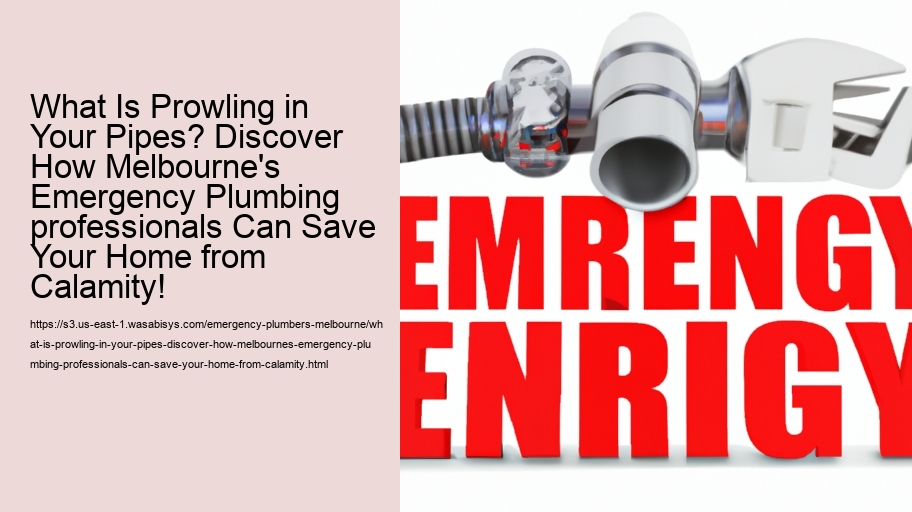 What Is Prowling in Your Pipes? Discover How Melbourne's Emergency Plumbing professionals Can Save Your Home from Calamity!