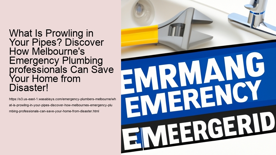 What Is Prowling in Your Pipes? Discover How Melbourne's Emergency Plumbing professionals Can Save Your Home from Disaster!