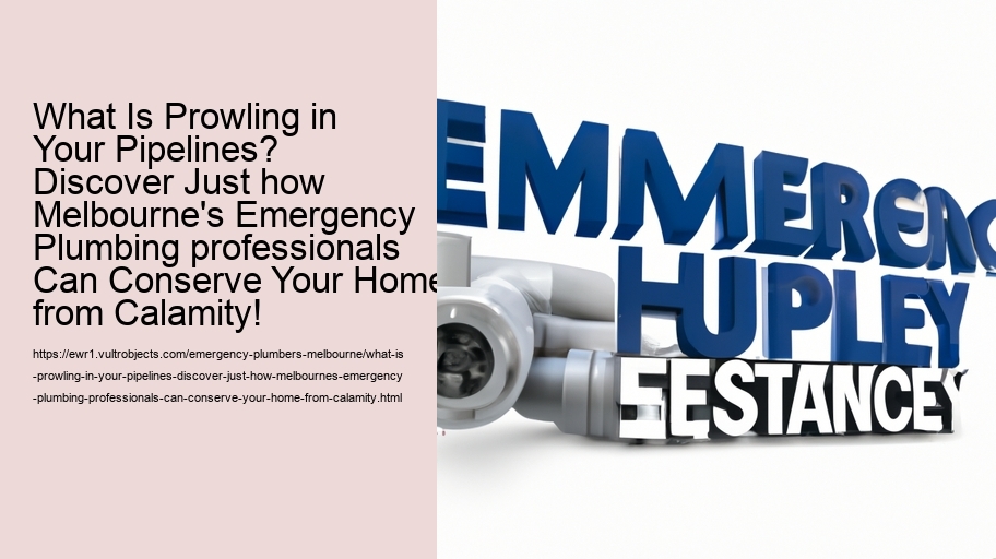 What Is Prowling in Your Pipelines? Discover Just how Melbourne's Emergency Plumbing professionals Can Conserve Your Home from Calamity!