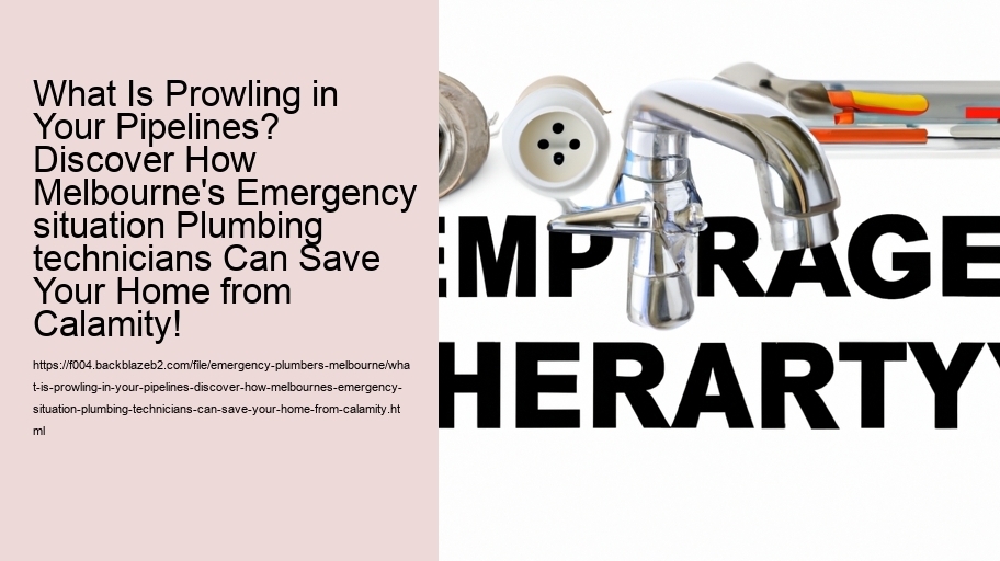 What Is Prowling in Your Pipelines? Discover How Melbourne's Emergency situation Plumbing technicians Can Save Your Home from Calamity!
