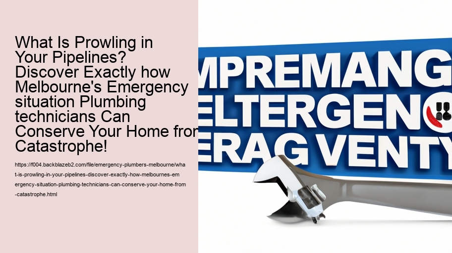 What Is Prowling in Your Pipelines? Discover Exactly how Melbourne's Emergency situation Plumbing technicians Can Conserve Your Home from Catastrophe!