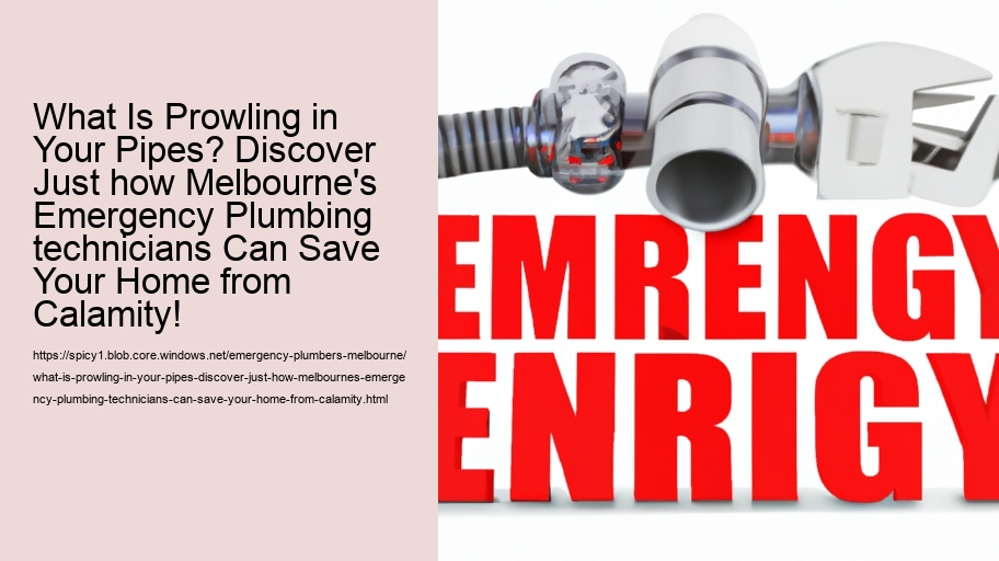 What Is Prowling in Your Pipes? Discover Just how Melbourne's Emergency Plumbing technicians Can Save Your Home from Calamity!