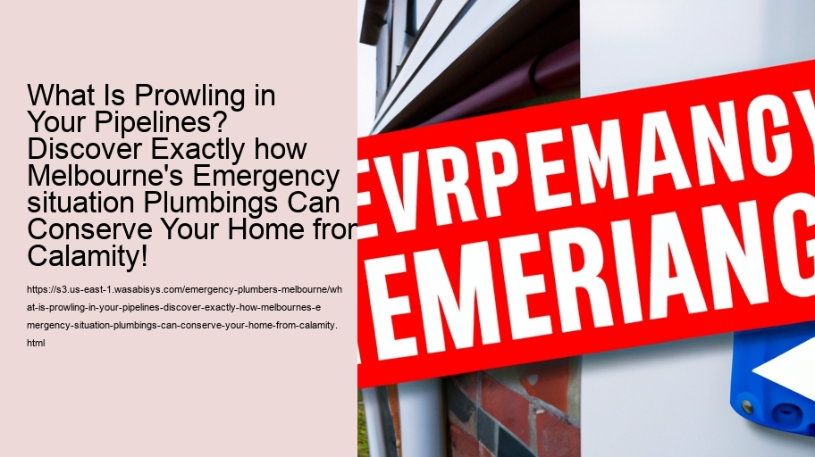 What Is Prowling in Your Pipelines? Discover Exactly how Melbourne's Emergency situation Plumbings Can Conserve Your Home from Calamity!