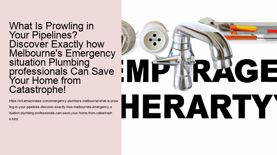 What Is Prowling in Your Pipelines? Discover Exactly how Melbourne's Emergency situation Plumbing professionals Can Save Your Home from Catastrophe!