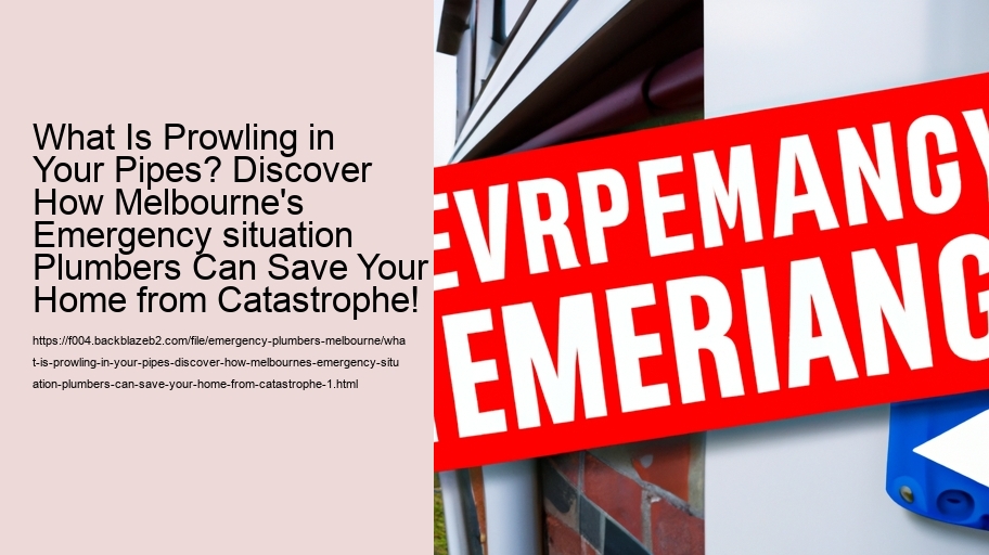 What Is Prowling in Your Pipes? Discover How Melbourne's Emergency situation Plumbers Can Save Your Home from Catastrophe!