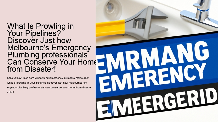 What Is Prowling in Your Pipelines? Discover Just how Melbourne's Emergency Plumbing professionals Can Conserve Your Home from Disaster!