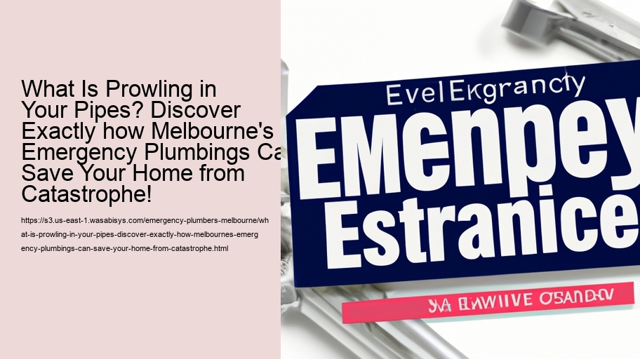 What Is Prowling in Your Pipes? Discover Exactly how Melbourne's Emergency Plumbings Can Save Your Home from Catastrophe!