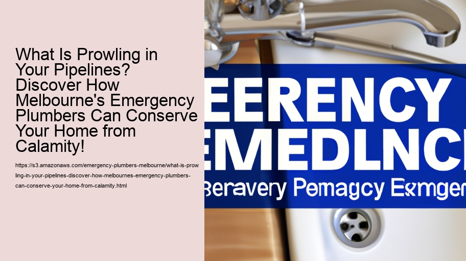 What Is Prowling in Your Pipelines? Discover How Melbourne's Emergency Plumbers Can Conserve Your Home from Calamity!